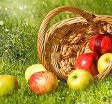 Схема вышивки «корзина с яблоками»