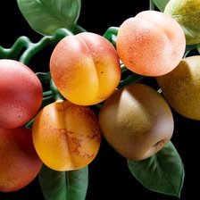 Схема вышивки «ветка сперсиками»