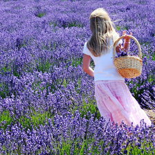 Схема вышивки «№670424»