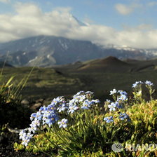 Схема вышивки «№670432»