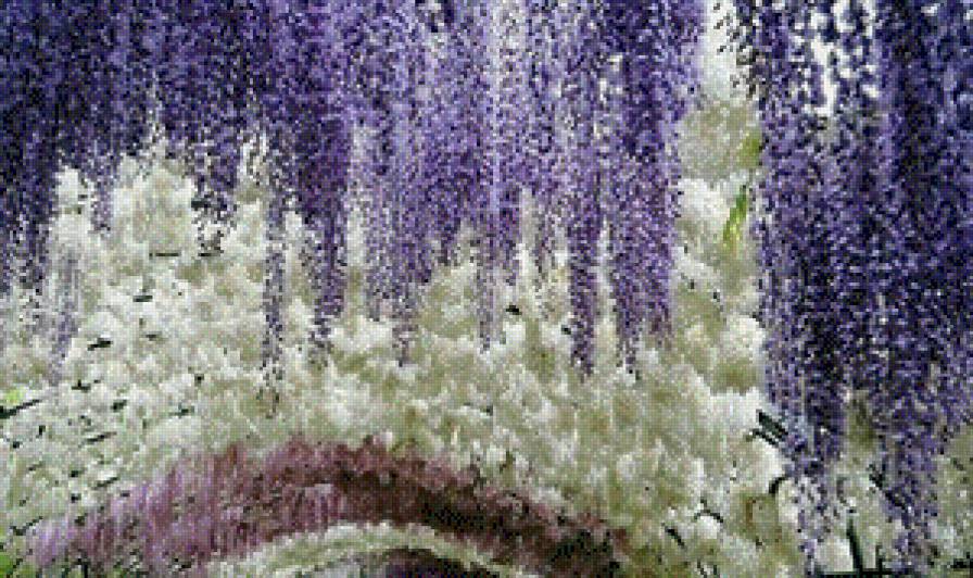 №670450 - предпросмотр