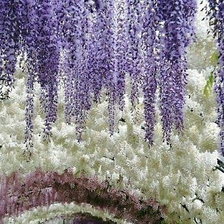 Схема вышивки «№670457»