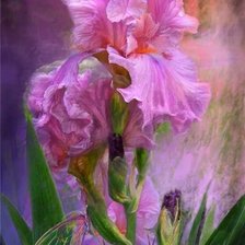 Схема вышивки «№670525»