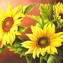 Подсолнухи