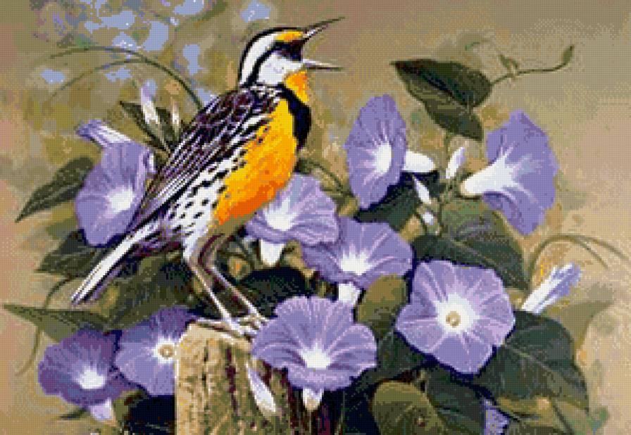пано птица - пано, цветы, природа, птицы - предпросмотр