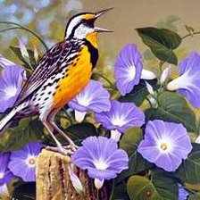 Схема вышивки «пано птица»