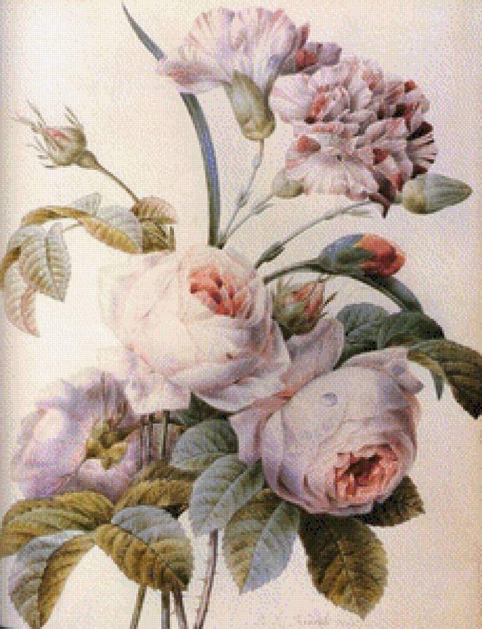 №670556 - предпросмотр