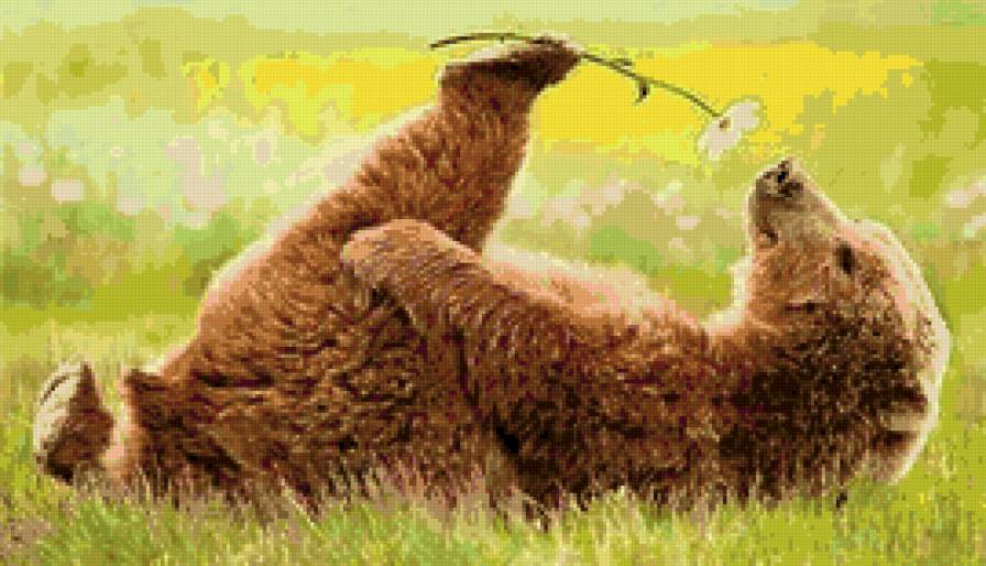 забавный миша - природа, животные, цветы - предпросмотр