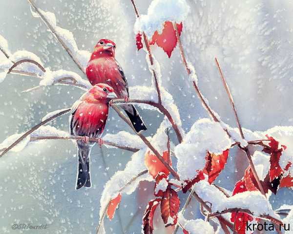 №670567 - оригинал