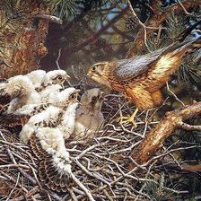 Схема вышивки «№670608»