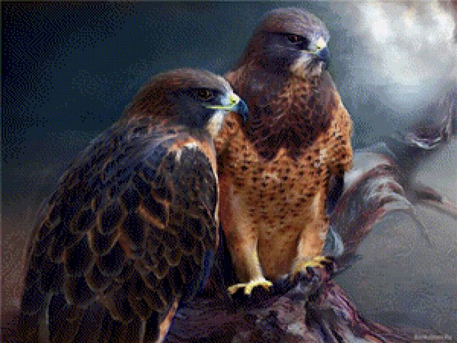 №670610 - предпросмотр