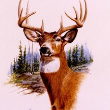 Схема вышивки «2308»