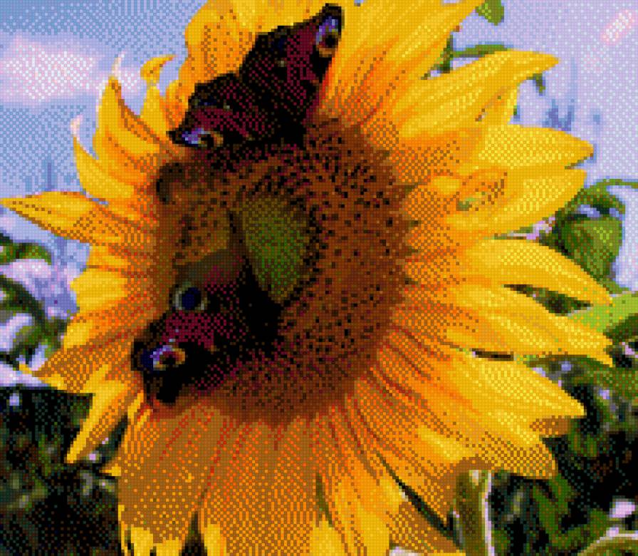 Подсолнух - картина, цветы, подсолнух - предпросмотр
