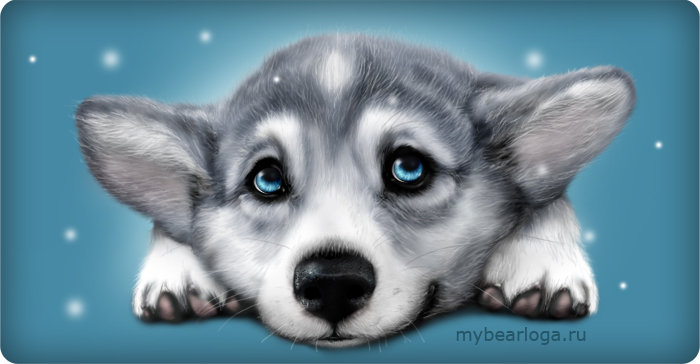 №670850 - хищники, волки, животные - оригинал