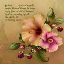 Схема вышивки «на подушку»