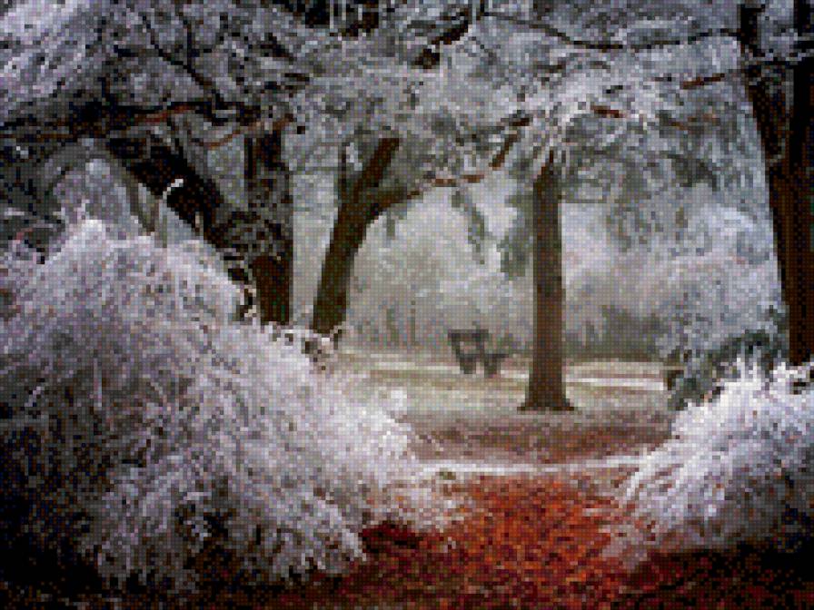 лес - предпросмотр