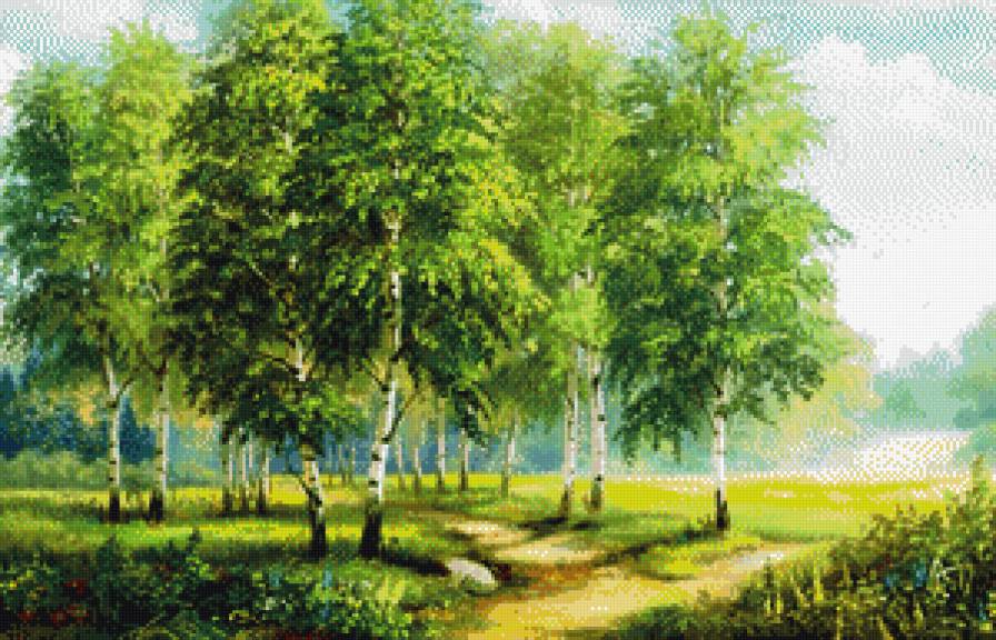 красавицы-березки - родные просторы - предпросмотр