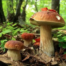 Схема вышивки «дружная семейка»