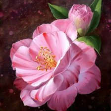 Схема вышивки «№671214»