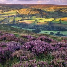 Схема вышивки «Английский пейзаж»