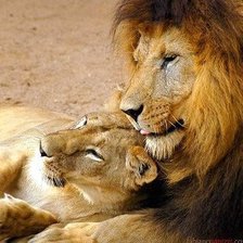 Схема вышивки «Нежность»