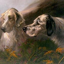 Схема вышивки «собаки»