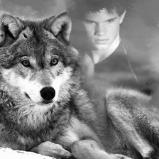 Схема вышивки «сумерки»