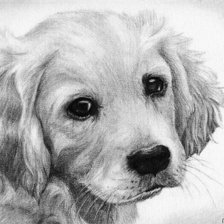 Схема вышивки «№671623»