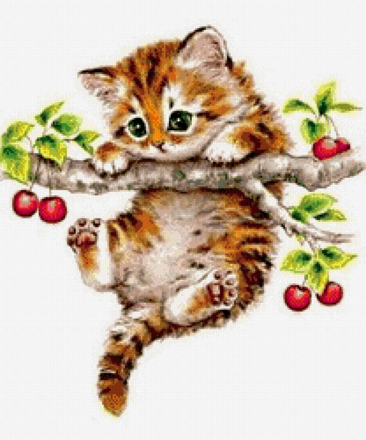 Путешественник - котенок, вишня, кот, природа, ветка, животные - предпросмотр