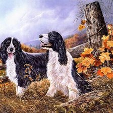 Схема вышивки «две собаки»