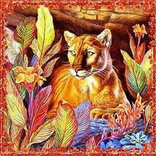 дикие кошки