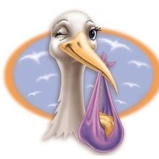 Схема вышивки «аист»