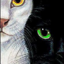 Схема вышивки «черное и белое»