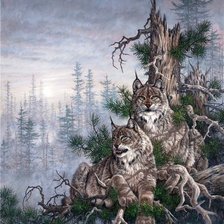 Схема вышивки «Рыси»