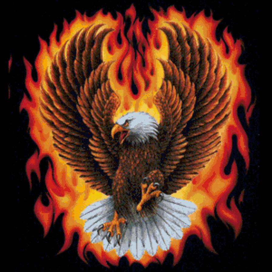 №672193 - птицы, орел - предпросмотр