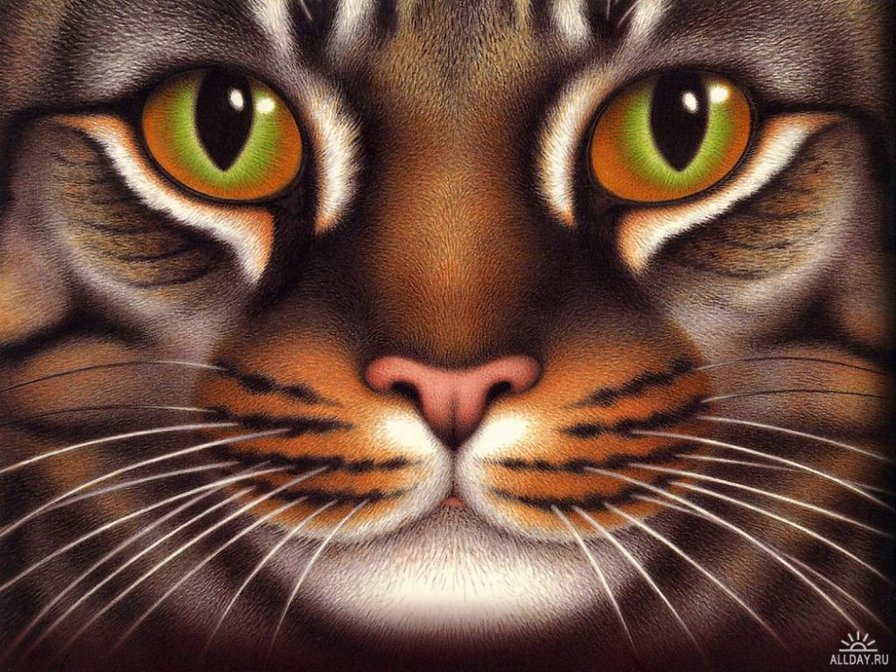 №672216 - кошки - оригинал