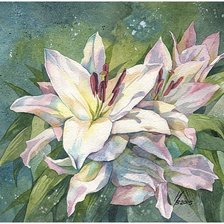 Схема вышивки «Лилии»