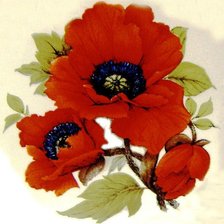 Схема вышивки «красный мак»