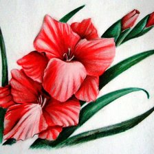 Схема вышивки «пано гладиолус»