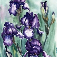 Схема вышивки «пано и рисы»