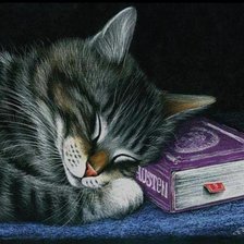 Схема вышивки «Спящий котенок»