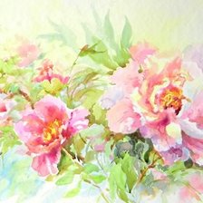 Схема вышивки «Пионы 1»