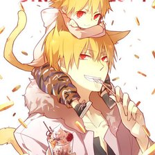 Схема вышивки «Gilgamesh»