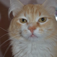 Схема вышивки «Яша»