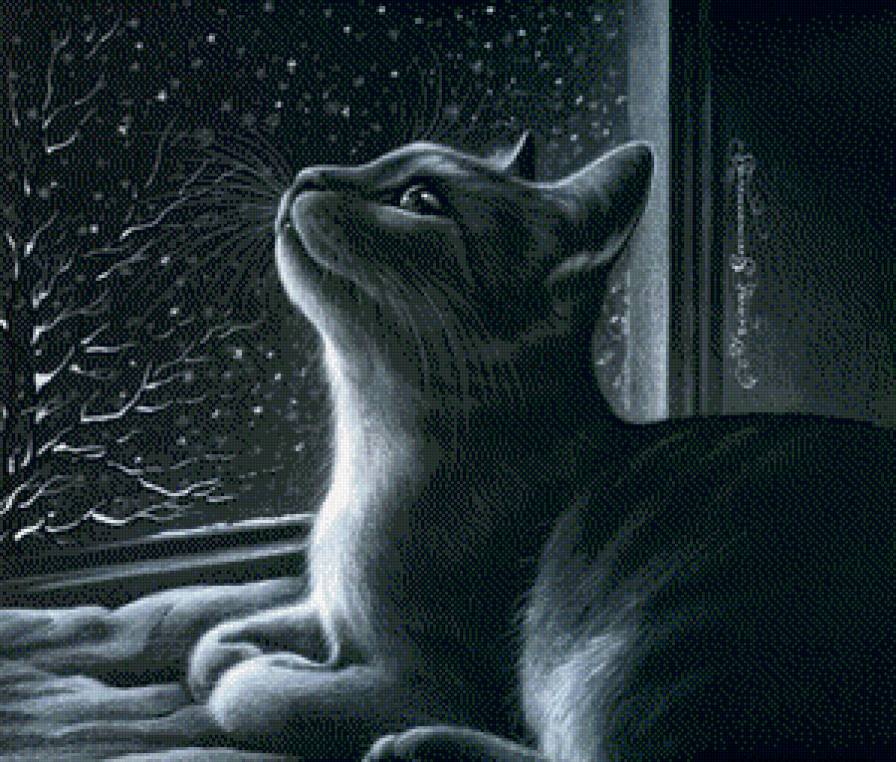 Киса - предпросмотр