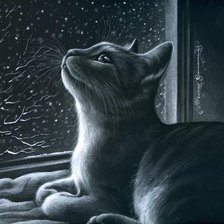 Схема вышивки «Киса»