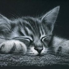 Схема вышивки «котенок»