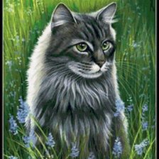 Схема вышивки «Кот»