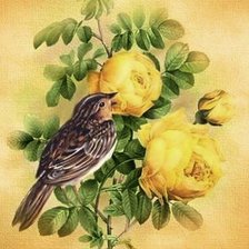 Схема вышивки «птица на ветке»