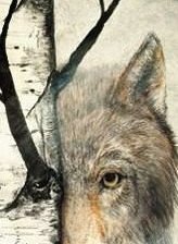 Схема вышивки «№672996»